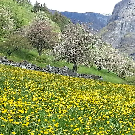Apartment Gjestehus Undredal