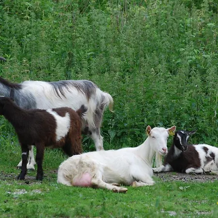 Gjestehus Undredal